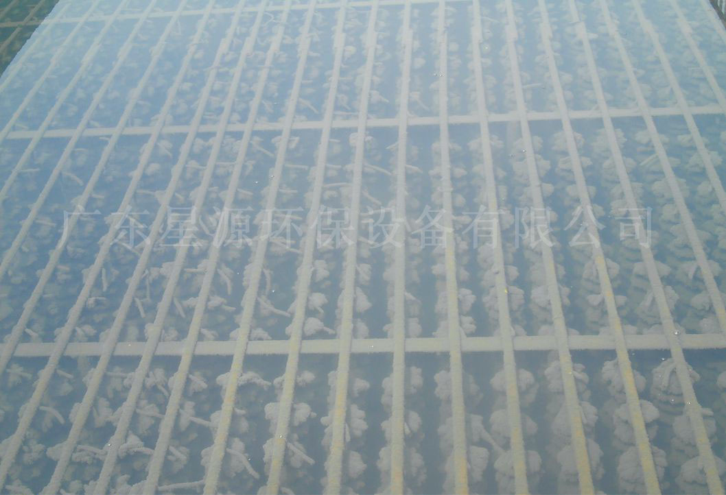 接触氧化池 接触氧化池